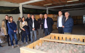 La Cooperativa Maitena del Genil, de Güejar Sierra, lanza al mercado su patata roja autóctona