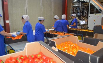 El valor de los productos hortofrutícolas exportados crece casi un 12% en Almería