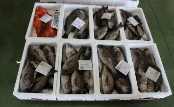 La Junta resuelve ayudas por 2,1 M€ para las organizaciones de productores pesqueros