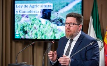 La Ley de Agricultura andaluza perseguirá la venta por debajo del precio de mercado