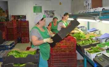 Abono de las ayudas para los Programas Operativos de las Organizaciones de Productores de Frutas y Hortalizas