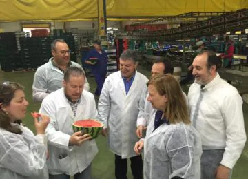 Agricultura intensifica los controles sobre la madurez en sandía y melón en Almería