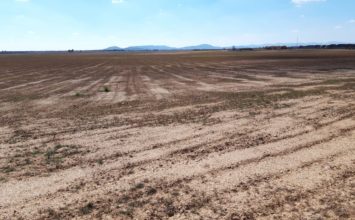 La Junta pide al Estado que actúe urgente ante la sequía y haga las obras hídricas pendientes