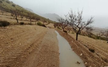 Regeneración del suelo y aprovechamiento del agua en las explotaciones agrarias