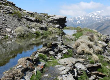 Demuestran que en Sierra Nevada se encuentra el sistema de recarga de agua subterránea más antiguo de Europa