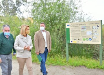 Agentes de Medio Ambiente censan 2574 aves acuáticas invernantes en 35 zonas húmedas de la provincia