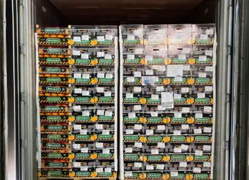 ANECOOP abre vía comercial con Perú al enviar el primer contenedor de naranjas desde España