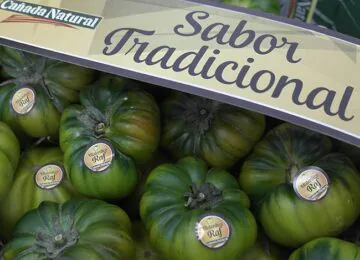 Agroponiente lucirá el mejor tomate del mundo, su Raf, en el Salón Gourmets de Madrid