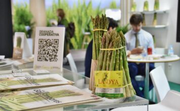 Los Gallombares seguirá afianzando su liderazgo en espárrago verde sostenible en Fruit Logística 2024