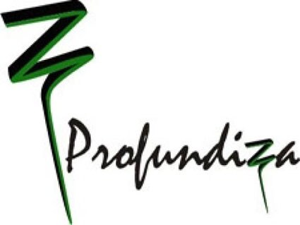 Profundiza es una iniciativa del Ministerio de Educación que cuenta con la colaboración de la Consejería de Educación de Andalucía
