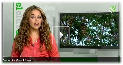 Mara López, la joven presentadora de este espacio educativo Mara López, la joven presentadora de este espacio educativo